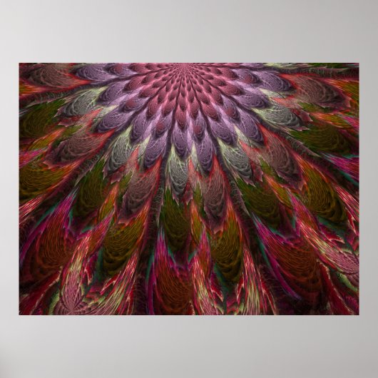 Peacock Feathers Poster (Vorne)