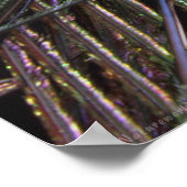 Peacock Feathers Poster -36x24 -kleinere erhältlic (Ecke)