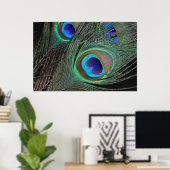Peacock Feathers Poster -36x24 -kleinere erhältlic (Heimbüro)
