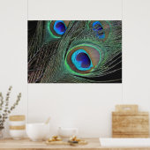 Peacock Feathers Poster -36x24 -kleinere erhältlic (Küche)