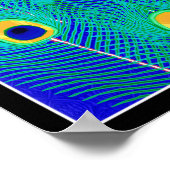 Peacock Feathers Poster Print (Ecke)