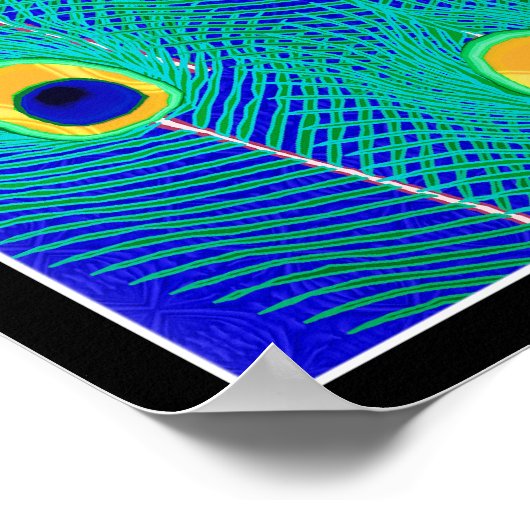 Peacock Feathers Poster Print (Ecke)