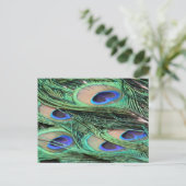 Peacock Feathers Postkarte (Stehend Vorderseite)