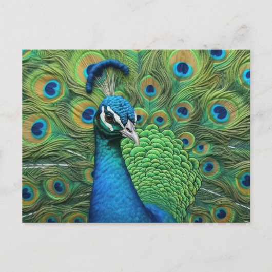 Peacock Feathers Postkarte (Vorderseite)