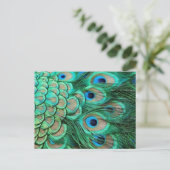 PEACOCK FEATHERS POSTKARTE (Stehend Vorderseite)
