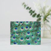 Peacock Feathers Postkarte (Stehend Vorderseite)