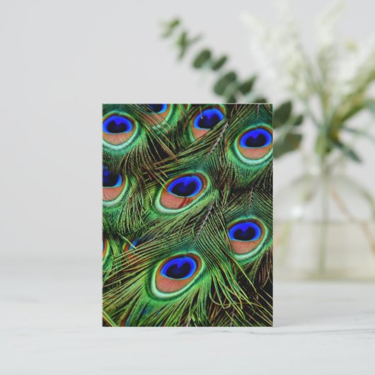 Peacock Feathers Postkarte (Stehend Vorderseite)