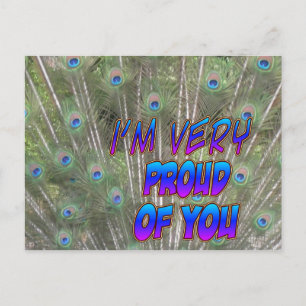 Peacock Feathers Proud Postcard Postkarte