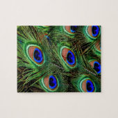 Peacock Feathers Puzzle (Horizontal)