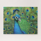 Peacock Feathers Puzzle (Horizontal)