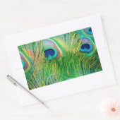 Peacock Feathers Rechteckiger Aufkleber (Umschlag)