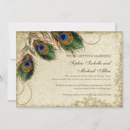 Peacock & Feathers Save the Date Tee festgehalten (Rückseite)