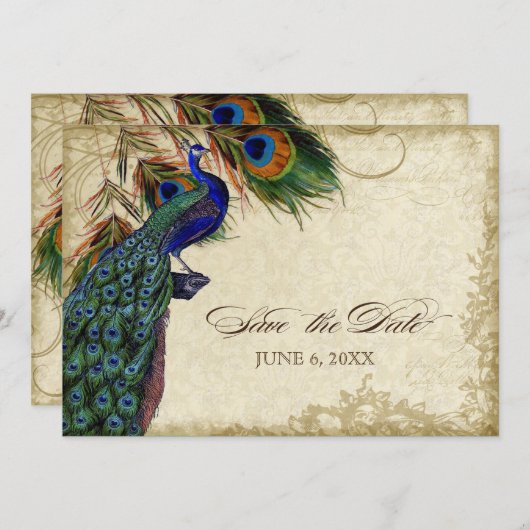 Peacock & Feathers Save the Date Tee festgehalten (Vorne/Hinten)