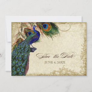 Peacock & Feathers Save the Date Tee festgehalten