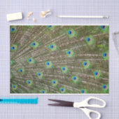 Peacock Feathers Seidenpapier (Handwerk)