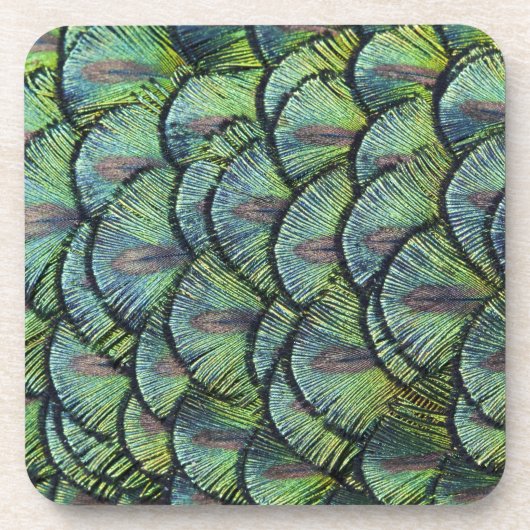 Peacock Feathers Set von 6 Untersetzer (Vorderseite)