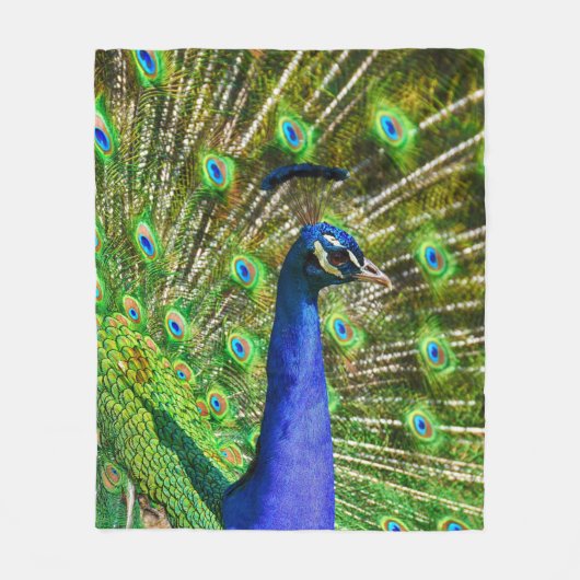 Peacock Feathers Soft Fleecedecke (Vorderseite)