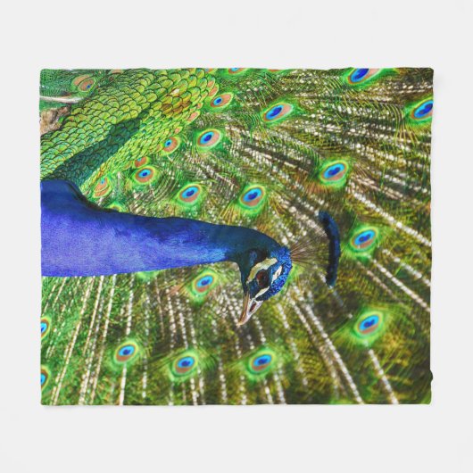 Peacock Feathers Soft Fleecedecke (Vorderseite (Horizontal))