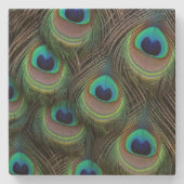 Peacock Feathers Stone Untersetzer (Vorderseite)