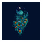 Peacock Feathers Teal Peacocks   Poster (Vorderseite)