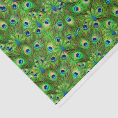 Peacock Feathers Tissue giftwrap Seidenpapier (Ausschnitt)