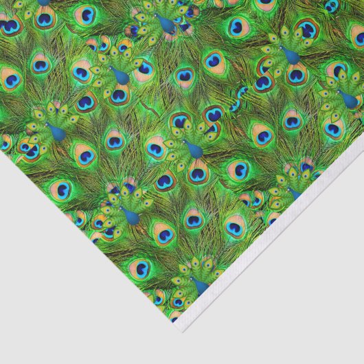 Peacock Feathers Tissue giftwrap Seidenpapier (Ausschnitt)