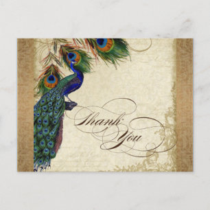 Peacock & Feathers Vintages Gold Look Damask Swirl Postkarte