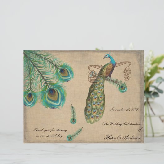 Peacock Feathers Wedding Program Burnt Edges (Stehend Vorderseite)