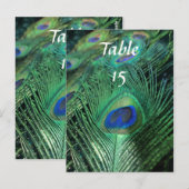 Peacock Feathers Wedding Tischnummern (Vorne/Hinten)