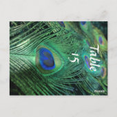 Peacock Feathers Wedding Tischnummern (Rückseite)