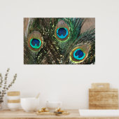 Peacock Feathers with Rocks Poster (Küche)