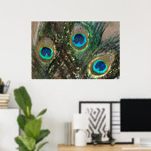 Peacock Feathers with Rocks Poster (Heimbüro)