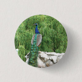 Peacock-Foto-Abzeichen Button