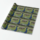 Peacock Foto Matte Wrapping Paper Geschenkpapier (Ungerollt)