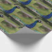 Peacock Foto Matte Wrapping Paper Geschenkpapier (Ecke)