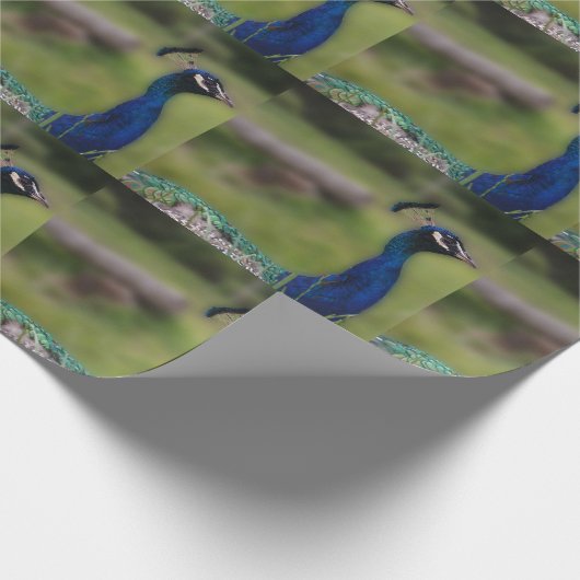 Peacock Foto Matte Wrapping Paper Geschenkpapier (Ecke)