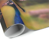 Peacock Foto Matte Wrapping Paper Geschenkpapier (Rolleneckpunkt)