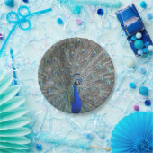 PEACOCK FOTO PAPIERTELLER (Party)