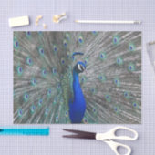 PEACOCK-FOTO SEIDENPAPIER (Handwerk)