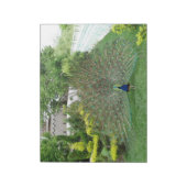 Peacock Fotopad Notepad Notizblock (Rotiert)