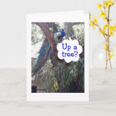 PEACOCK FRAGE, WENN SIE AUF EINEM BAUM STEHEN UND  KARTE (Gelbe Blume)