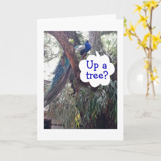 PEACOCK FRAGE, WENN SIE AUF EINEM BAUM STEHEN UND  KARTE (Gelbe Blume)