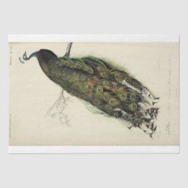 Peacock French Script Ephemera Decoupage Seidenpapier