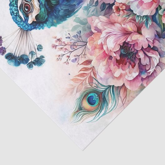 Peacock Frische Pasta machen Seidenpapier (Ausschnitt)