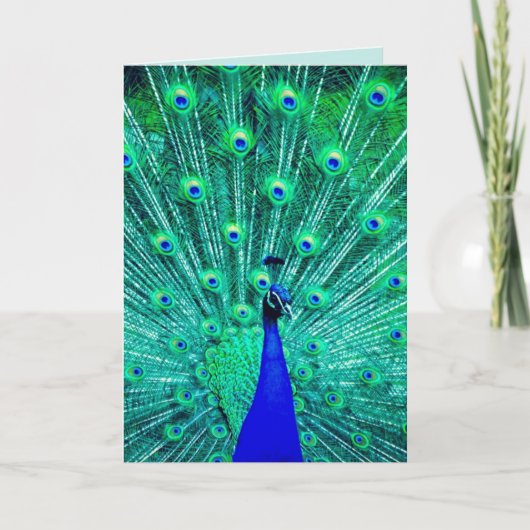 PEACOCK FUNNY BIRTHDAY GREETING CARD KARTE (Vorderseite)