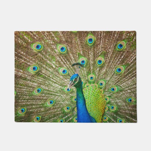 Peacock Fußmatte (Vorderseite)