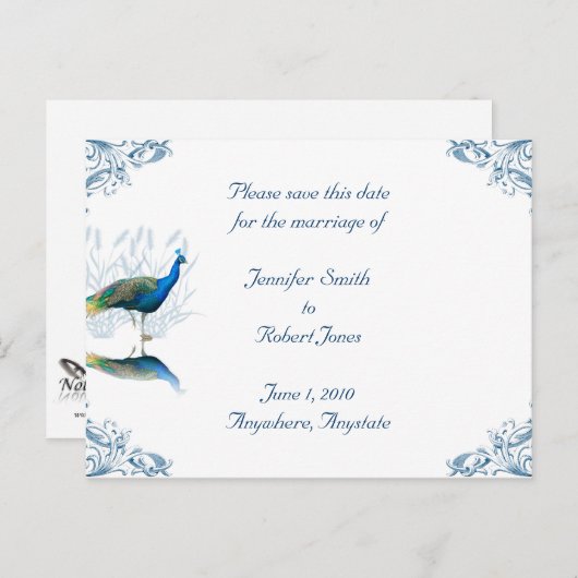 Peacock Garden Save the Date Ankündigungspostkarte (Vorne/Hinten)