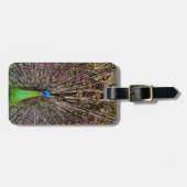 Peacock Gepäckanhänger (Vorderseite horizontal)