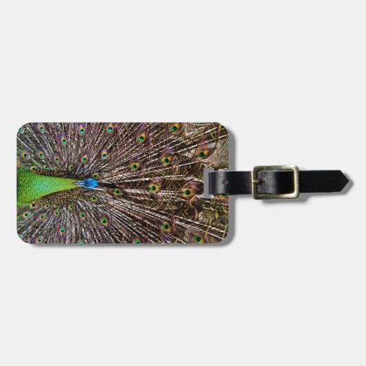 Peacock Gepäckanhänger (Vorderseite horizontal)