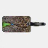 Peacock Gepäckanhänger (Rückseite horizontal)